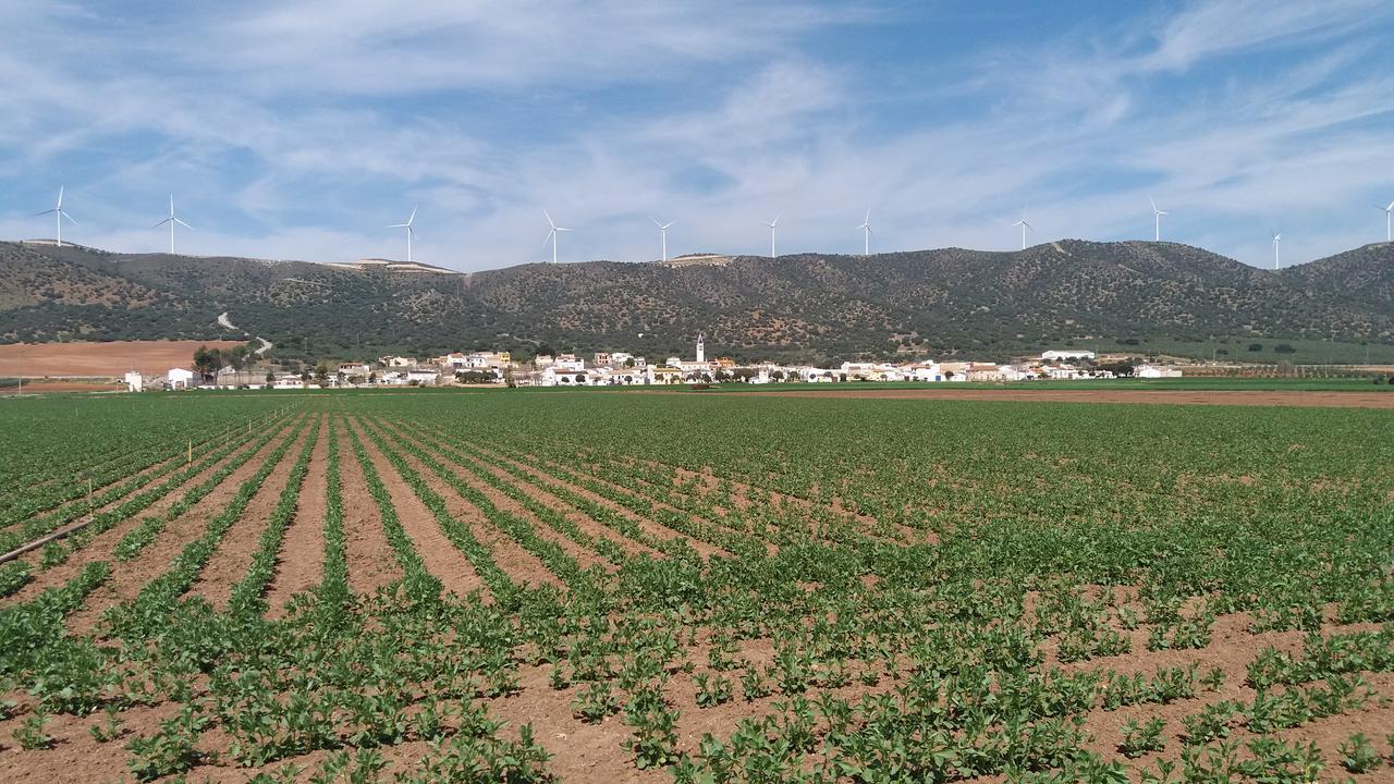 Posada Ana Ponce Sierra de Yeguas Exterior foto